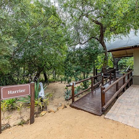 הודספרויט Phelwana Game Lodge מראה חיצוני תמונה